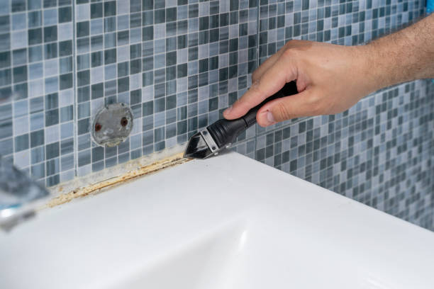 Best Mold Testing  in Brecksville, OH